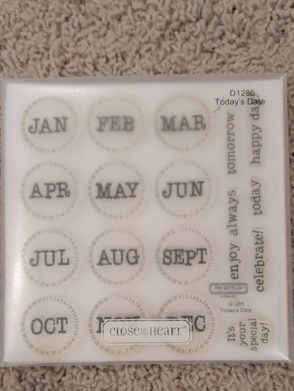Today’s Date Stamp Set - Neutral Black